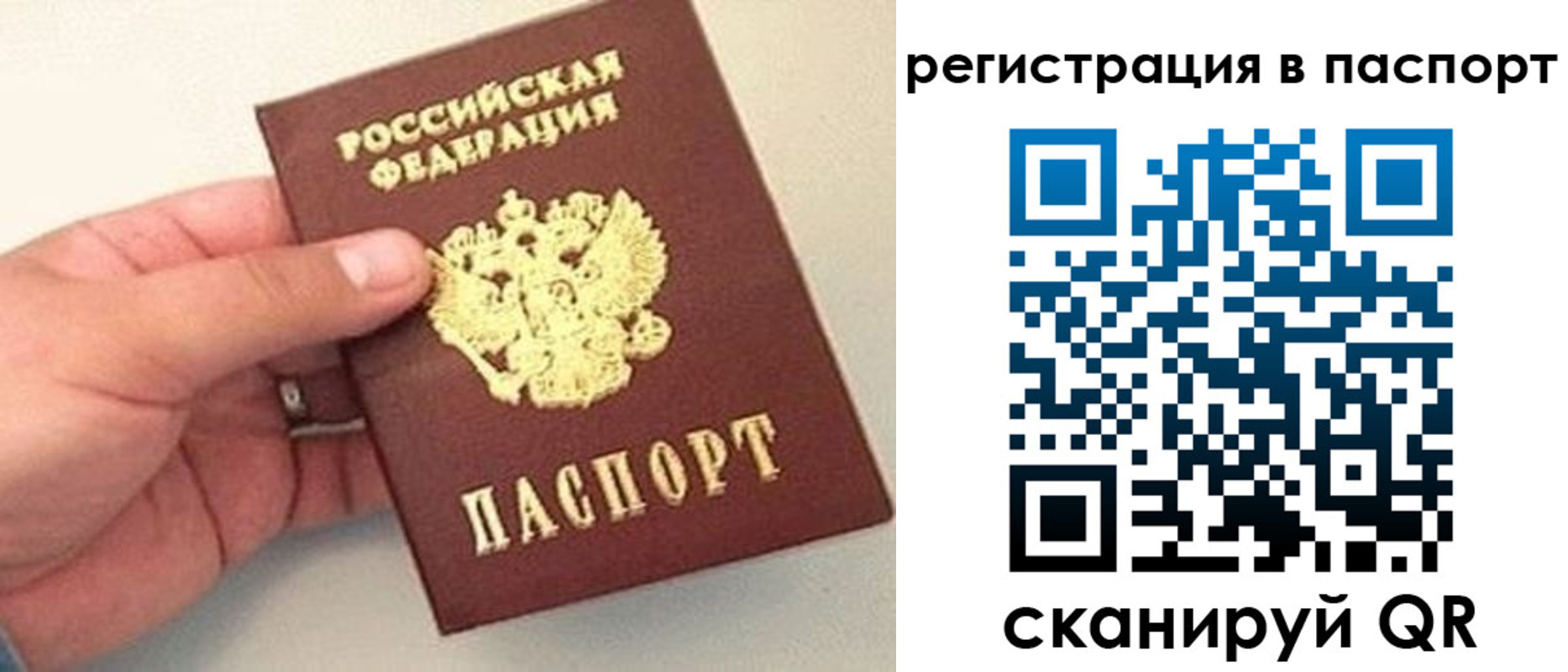 прописка законно в Фокино